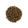 Brit Care Cat Grain Free Indoor Anti-Stress — полнорационный беззерновой сухой корм для домашних кошек с курицей, ромашкой и пустырником, 2 кг
