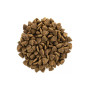 Brit Care Cat Grain Free Adult Activity Support — повнораціонний беззерновий сухий корм для дорослих котів зі свіжою куркою та індичкою, 400 г