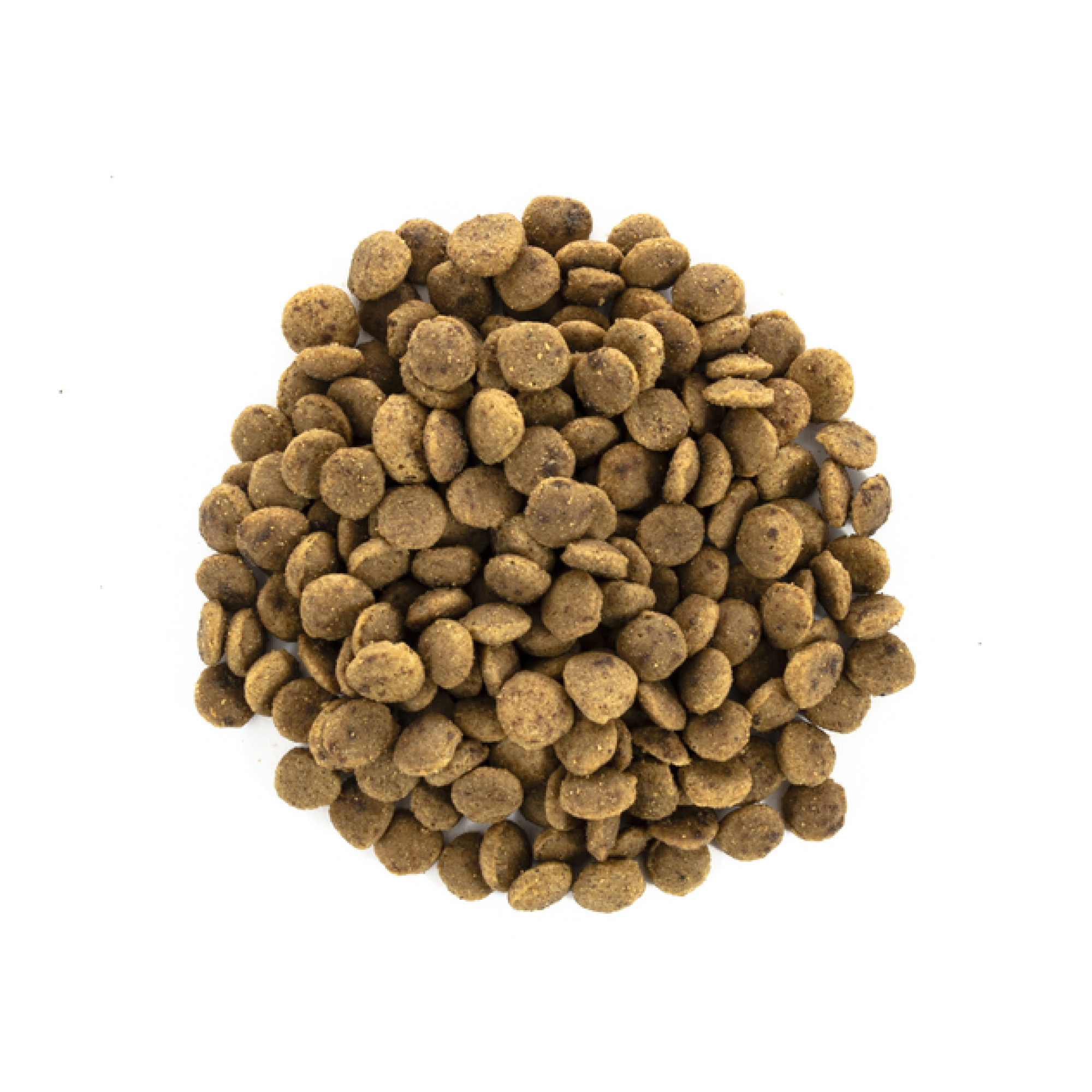 Brit Care Cat Grain Free Large Power Vitality — повнораціонний беззерновий сухий корм для дорослих котів великих порід з качкою та куркою, 2 кг
