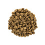 Brit Care Cat Grain Free Large Power Vitality — повнораціонний беззерновий сухий корм для дорослих котів великих порід з качкою та куркою, 2 кг