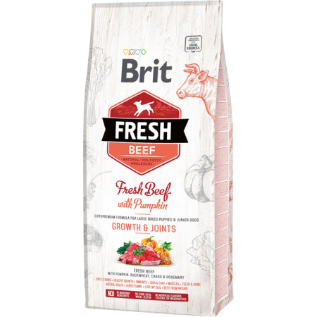 Brit Fresh Beef & Pumpkin Puppy Large: Яловичина та гарбуз для цуценят та молодих собак великих порід, 12 кг