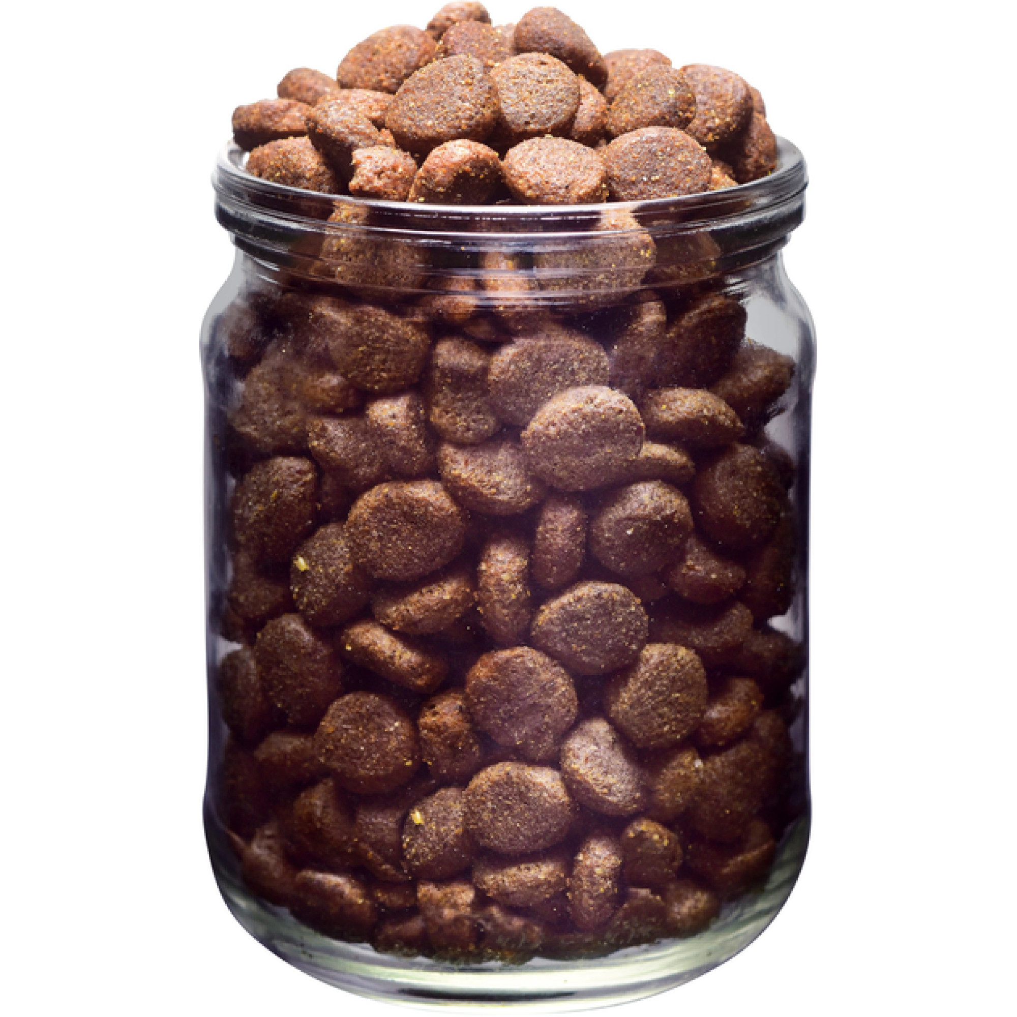 Brit Fresh Beef & Pumpkin Puppy Large: Яловичина та гарбуз для цуценят та молодих собак великих порід, 12 кг