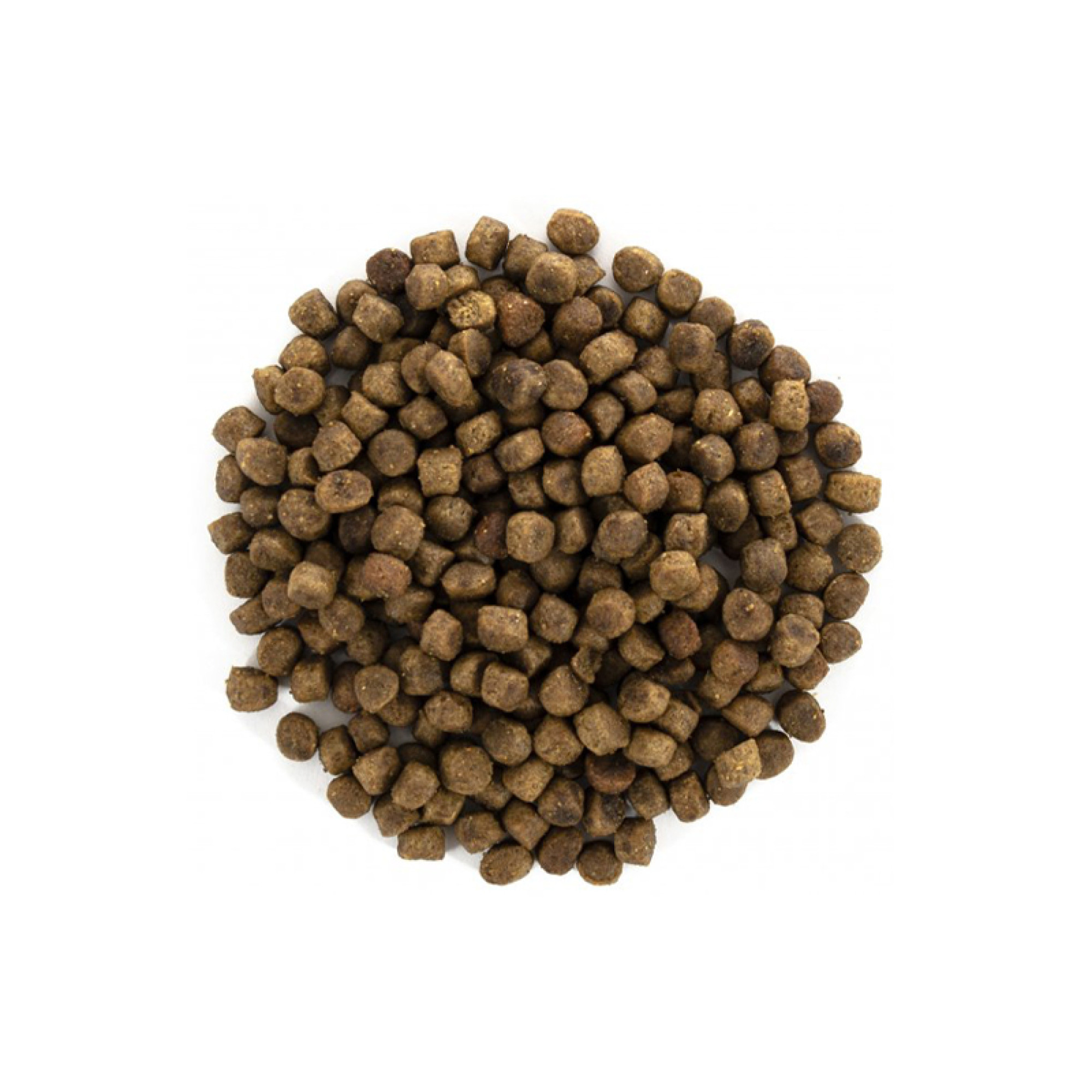 Brit Care Cat Grain-Free Kitten Healthy Growth & Development — повнораціонний беззерновий сухий корм для кошенят, вагітних і годуючих кішок, 400 г