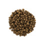 Brit Care Cat Grain-Free Kitten Healthy Growth & Development — повнораціонний беззерновий сухий корм для кошенят, вагітних і годуючих кішок, 400 г