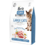 Brit Care Cat Grain Free Large Power Vitality — повнораціонний беззерновий сухий корм для дорослих котів великих порід з качкою та куркою, 2 кг