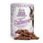 Ласощі Brit Care Cat Snack Superfruits Salmon для дорослих стерилізованих котів з лососем, шипшиною та журавлиною, 100 г