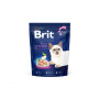 Brit Premium Cat by Nature Adult Chicken: Для дорослих котів з куркою, 300 г