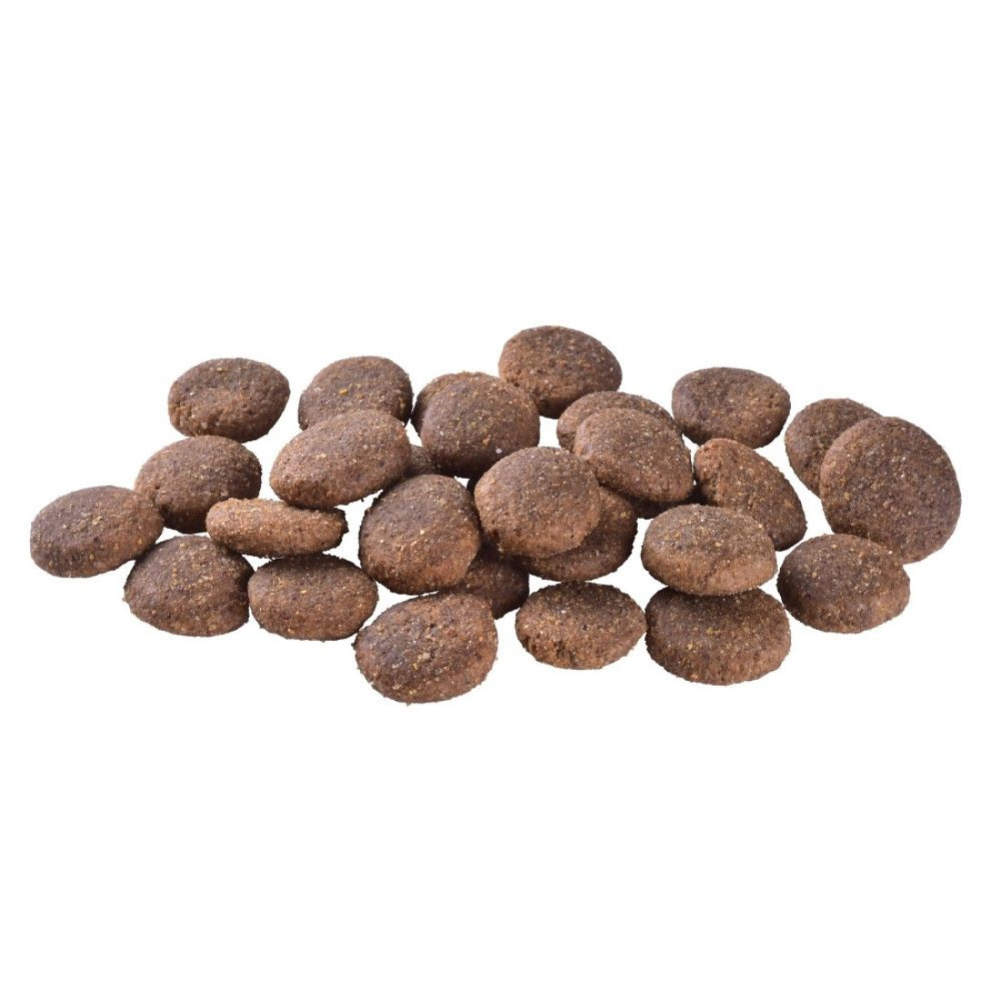  Brit Care Grain Free Adult Large Breed Salmon & Potato – Повнораціонний беззерновий сухий корм з лососем та картоплею для дорослих собак великих порід, 12 кг
