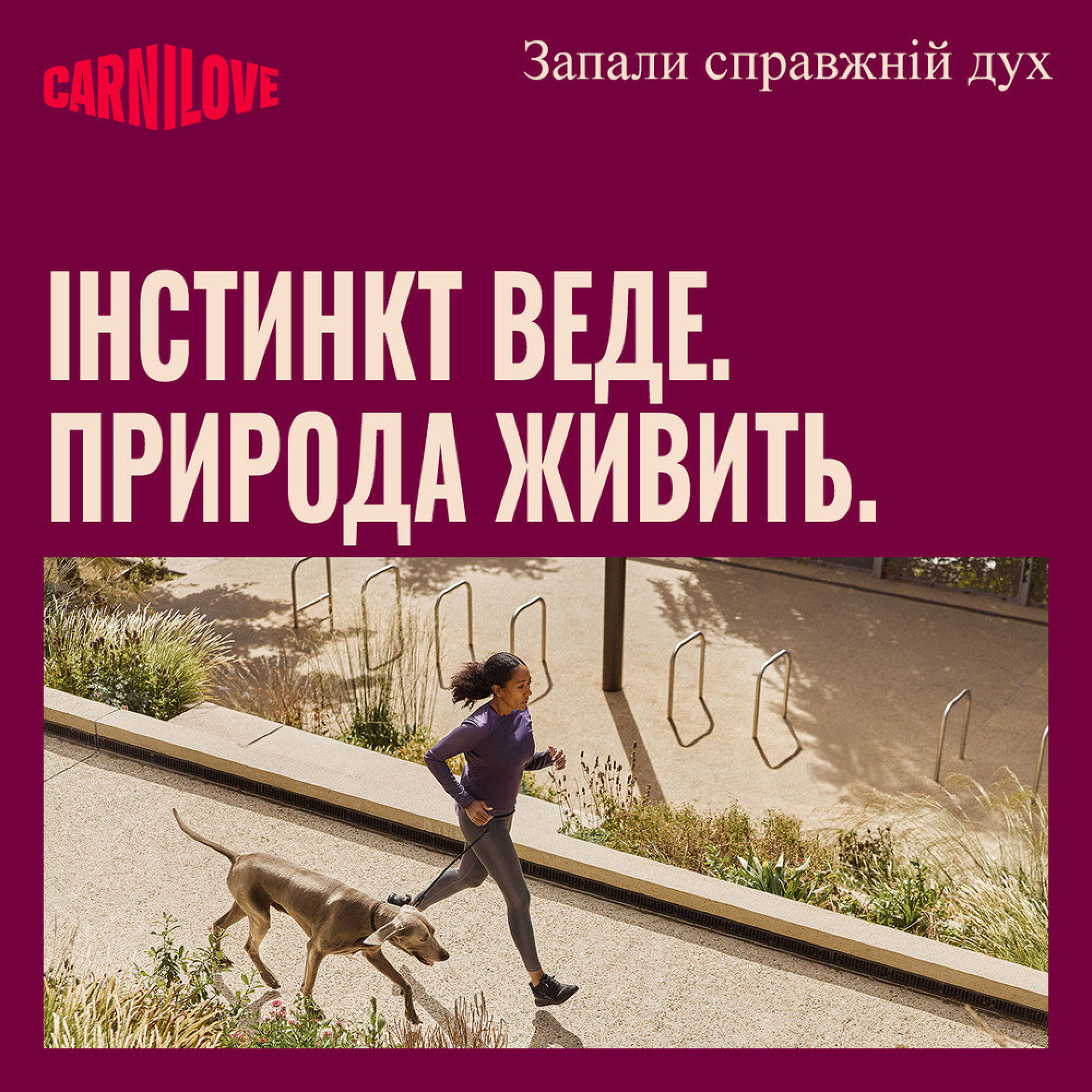 Корм сухий Carnilove Active Duck & Pheasant для cобак качка і фазан 4 кг