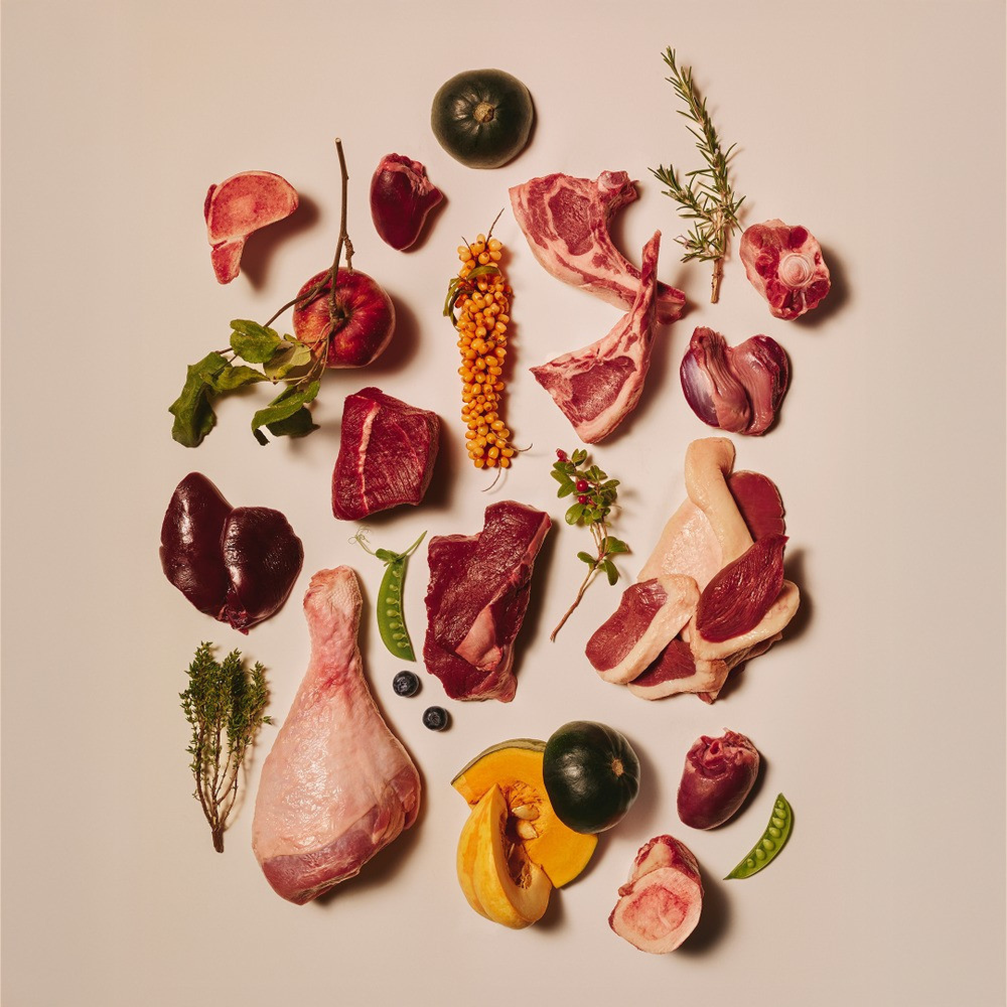 Корм вологий Carnilove Gravy Pheasant with Raspberry Leaves для котів фазан і листя малини в соусі 85 г