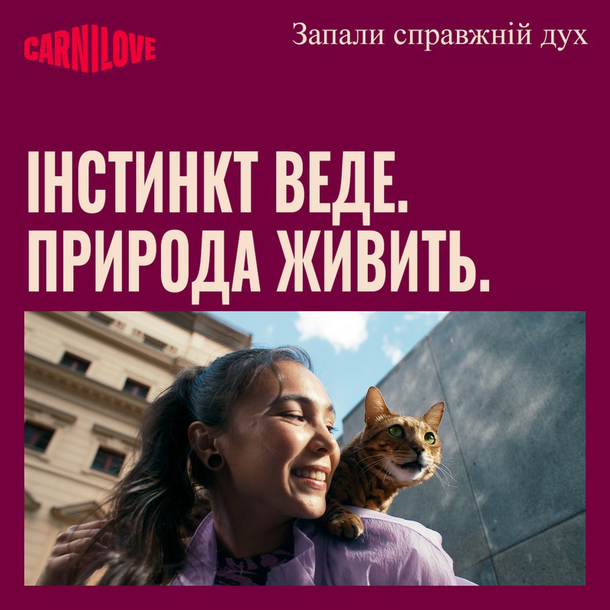 Корм сухой Carnilove True Fresh Beef Kitten для котят говядина 2 кг