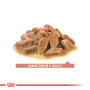 Royal Canin Ageing 11+ в соусе для кошек