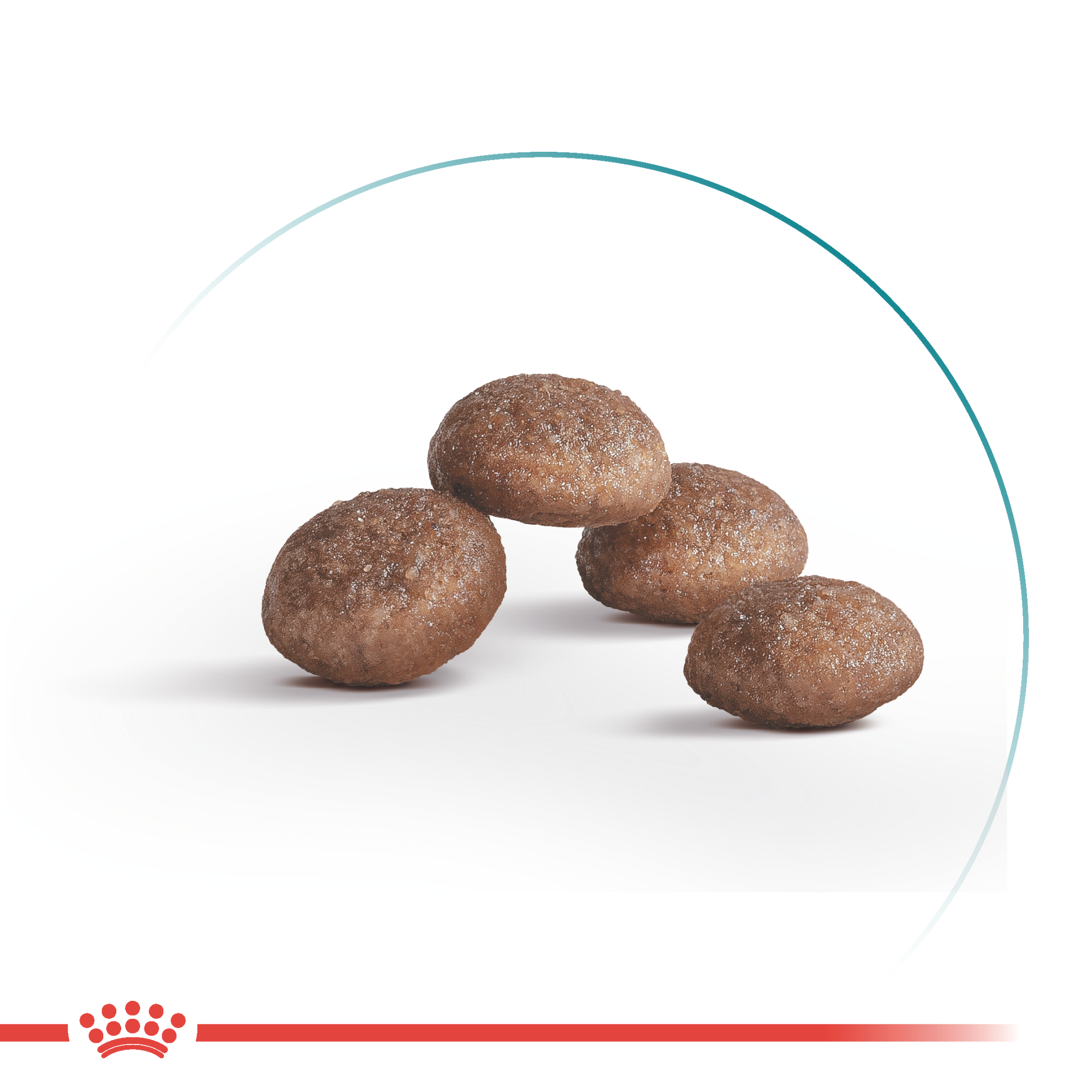 Royal Canin Ageing 11+ 2 кг