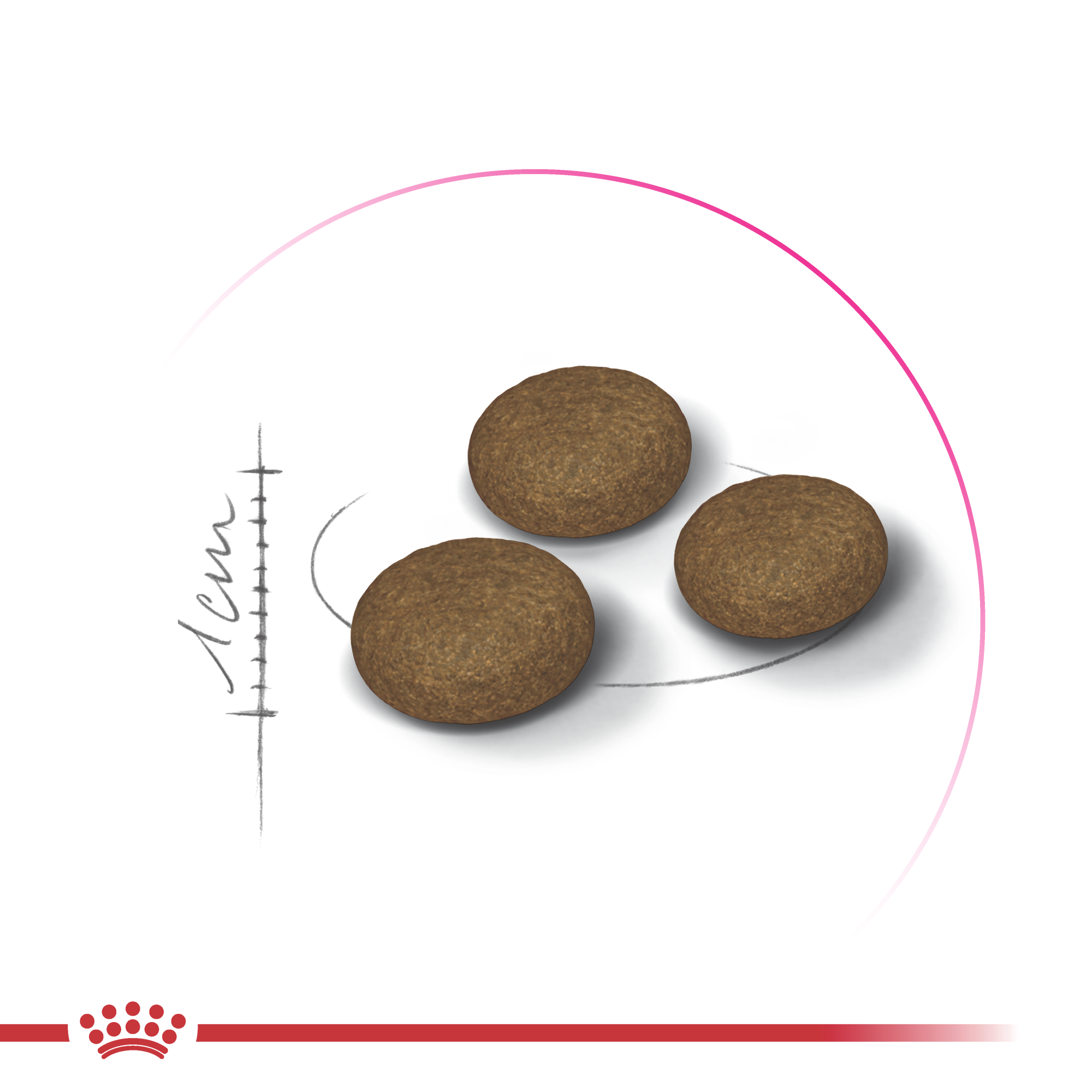 Royal Canin Exigent Fussy, 10 кг
