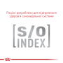 Royal Canin Exigent Fussy, 10 кг