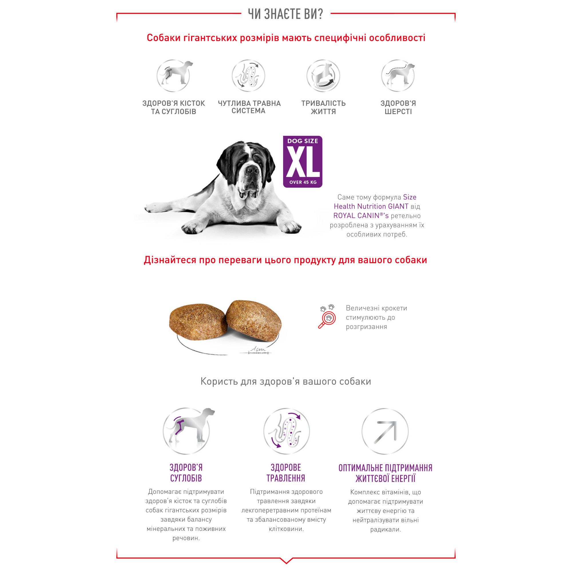 Royal Canin Giant Adult для дорослих собак гігантських порід, 15 кг