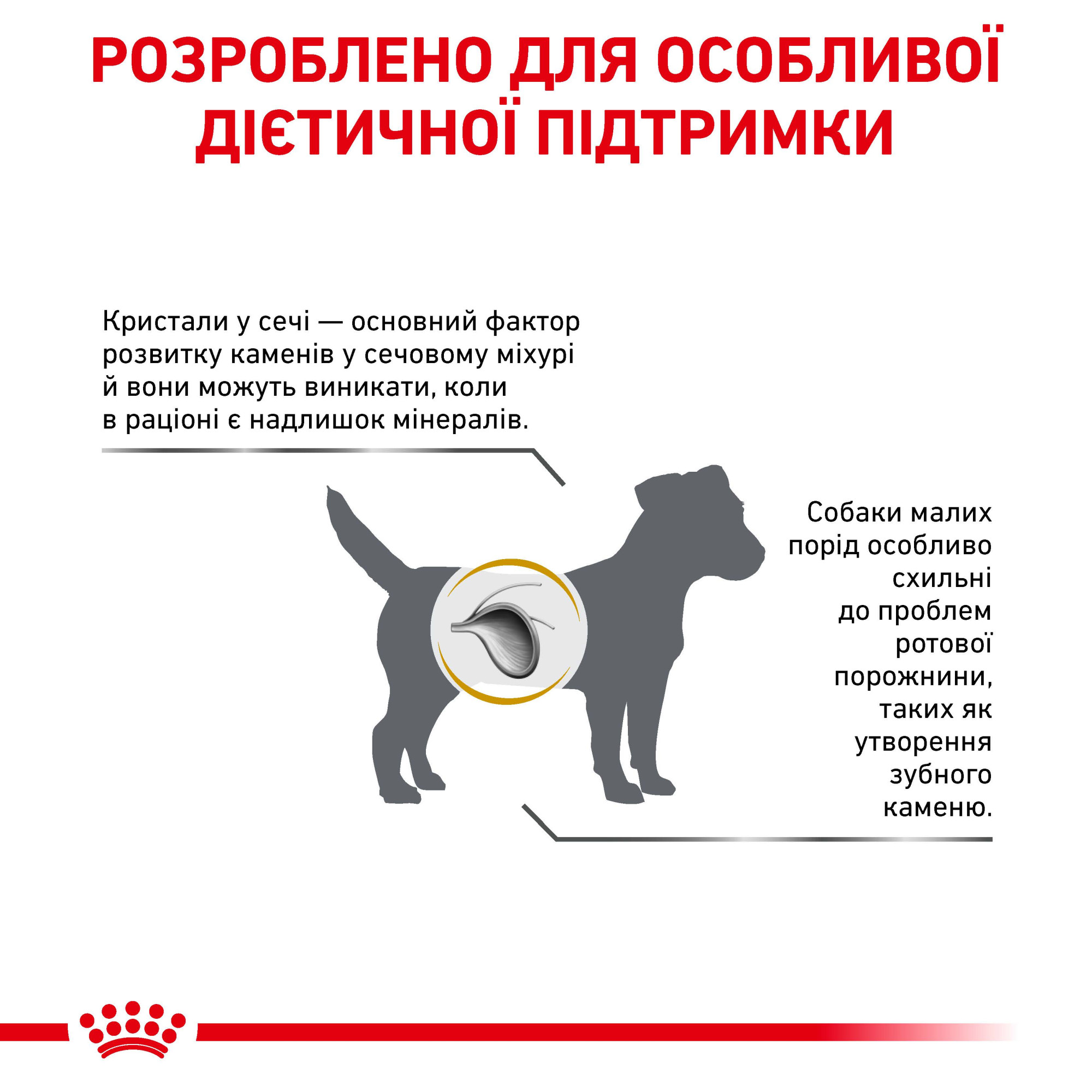 Royal Canin Urinary S/O Small Dog – диетический сухой корм для собак мелких пород с заболеваниями мочевыделительной системы, 1.5 кг