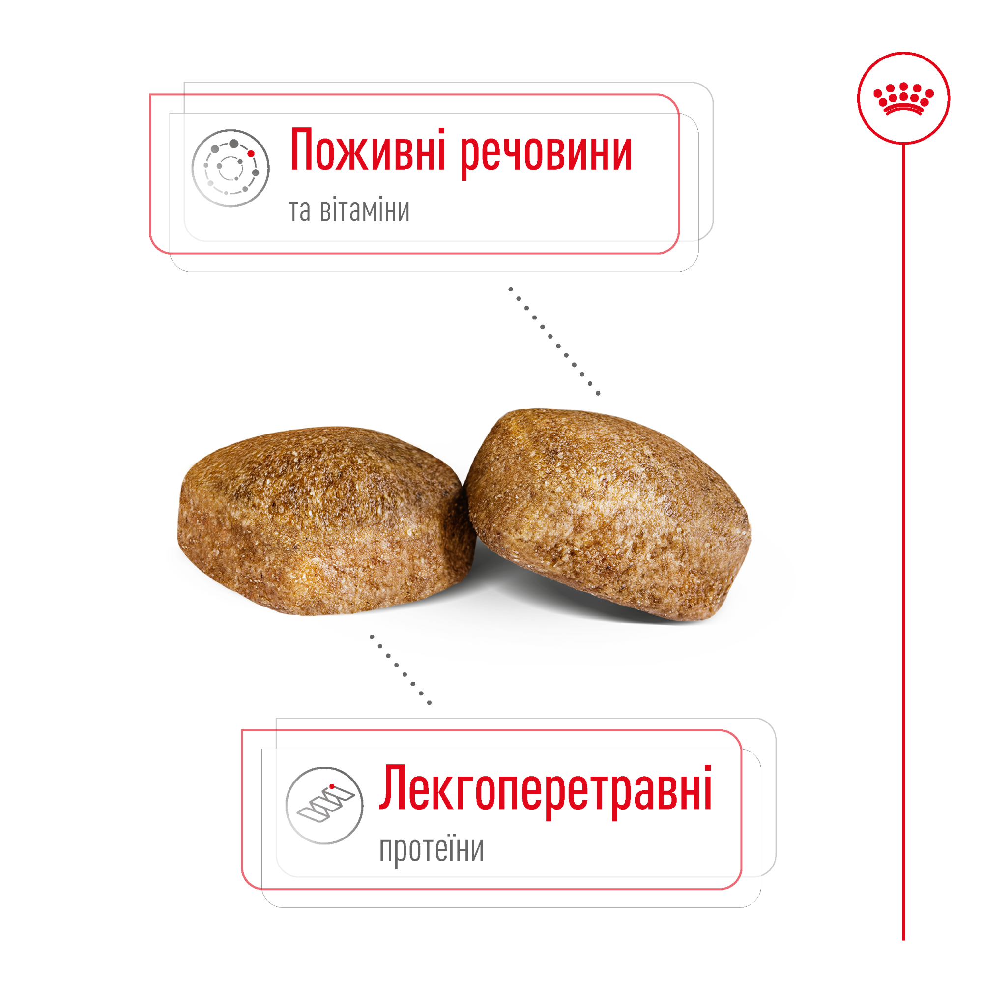Royal Canin Giant Adult для дорослих собак гігантських порід, 15 кг
