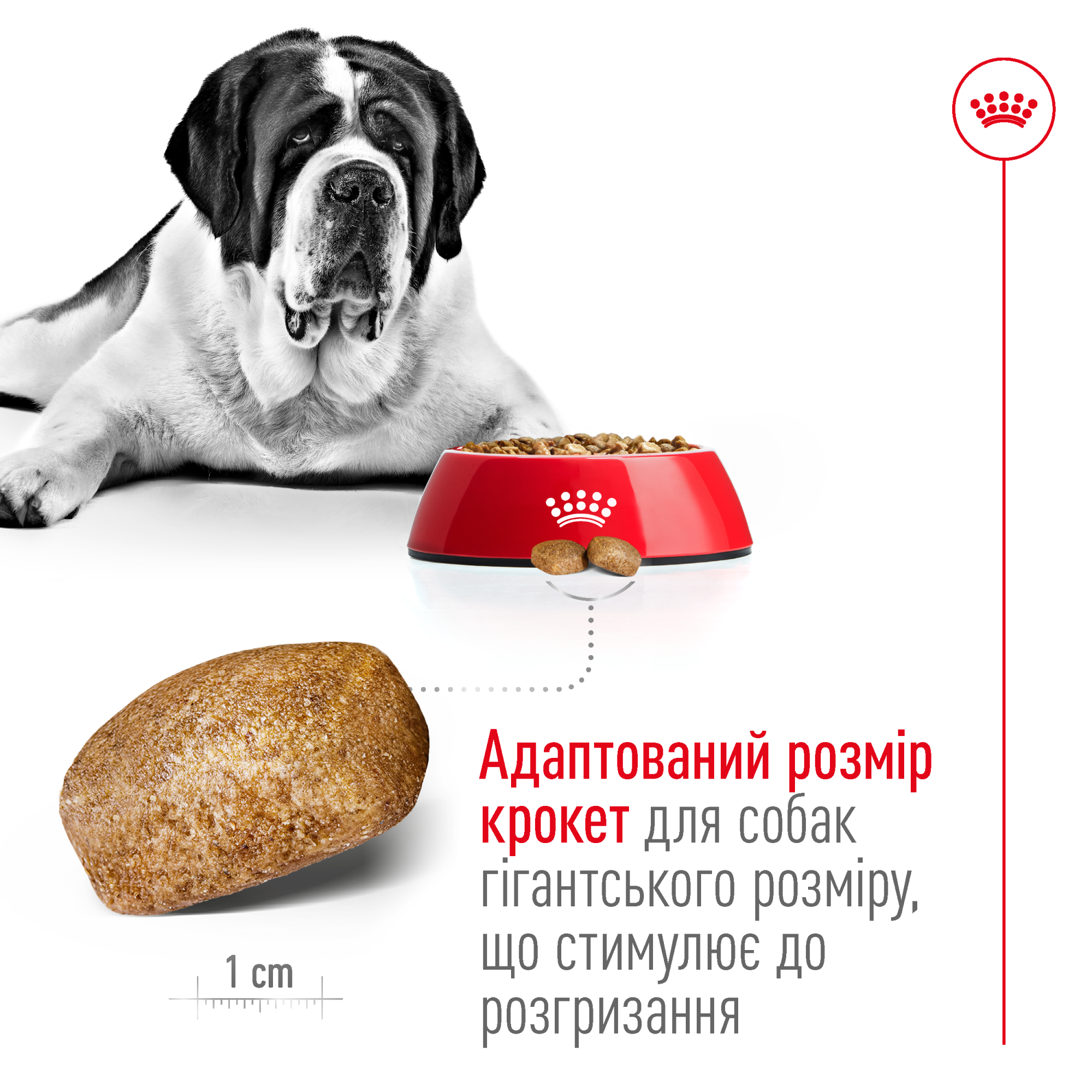Royal Canin Giant Adult для дорослих собак гігантських порід, 15 кг
