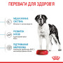 Royal Canin Giant Junior для цуценят гігантських порід, 15 кг