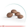 Royal Canin Ageing Sterilised 11+ сухой корм для кошек, 2 кг