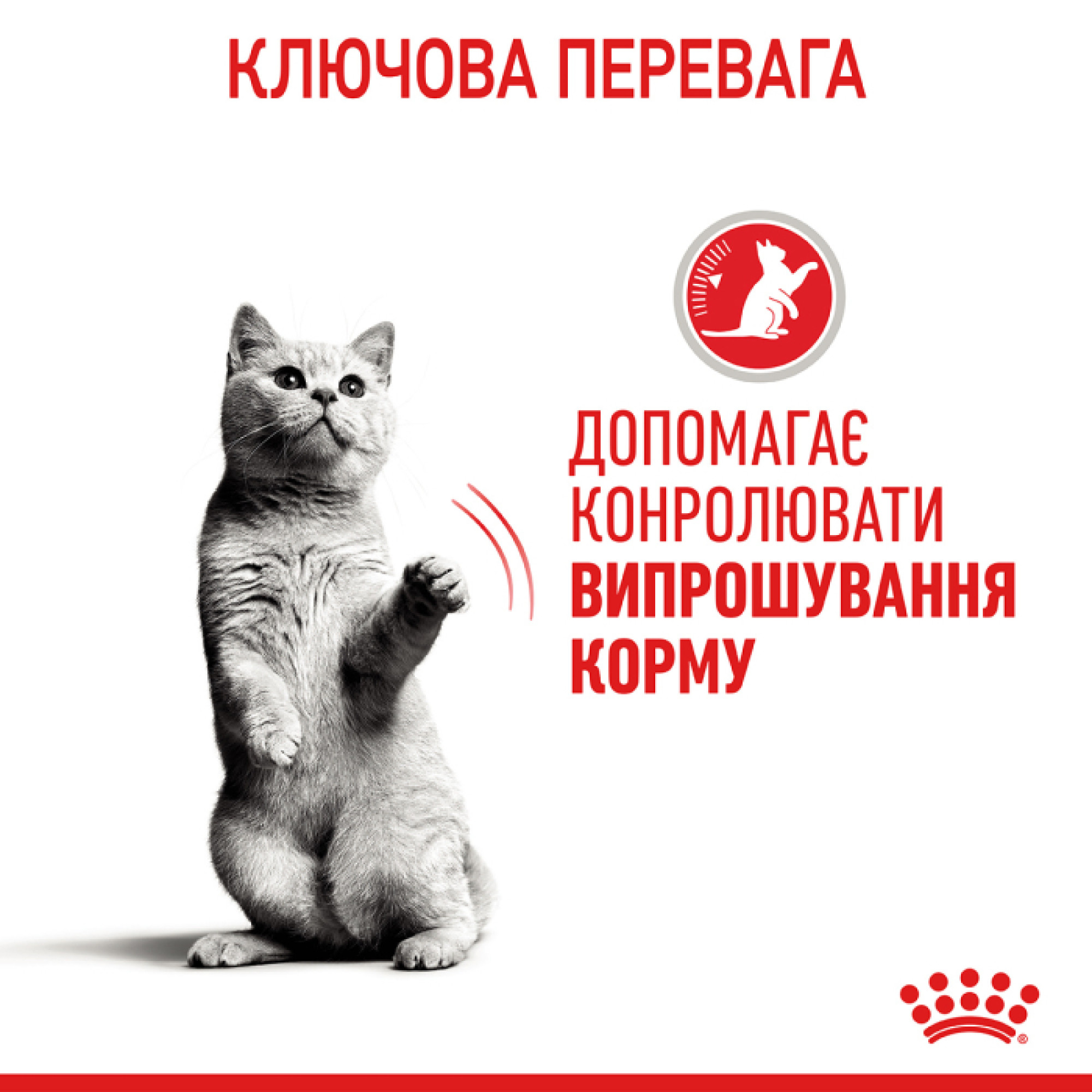 Royal Canin Appetite Control в соусі для котів, 85 г
