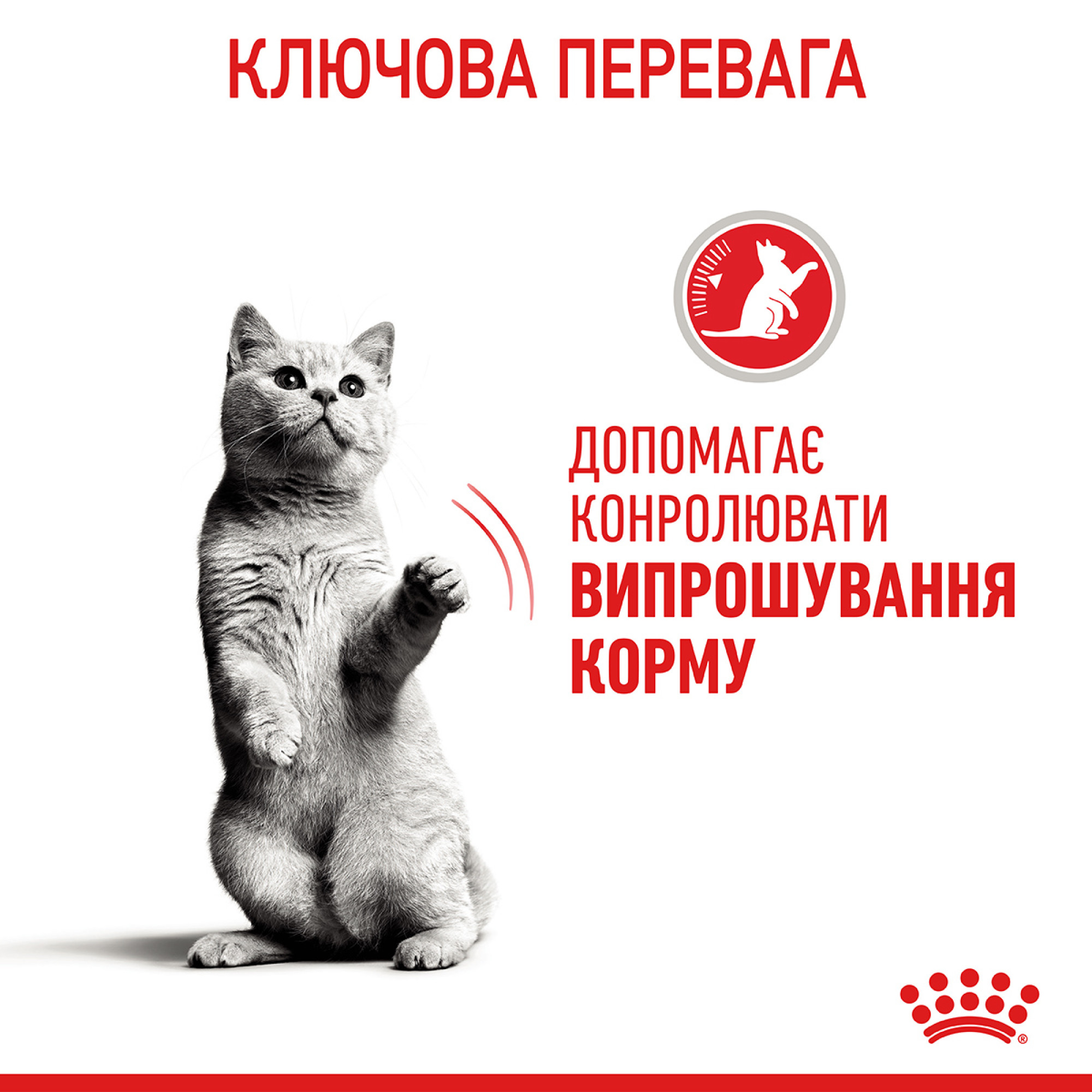 Royal Canin Appetite Control Care Feline – сухий корм для котів зі схильністю до підвищеного апетиту, 2 кг