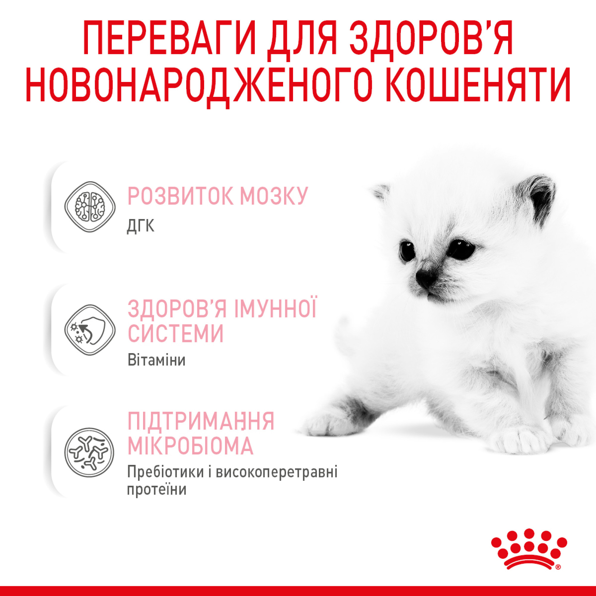 Royal Canin Babycat Milk, 300 г