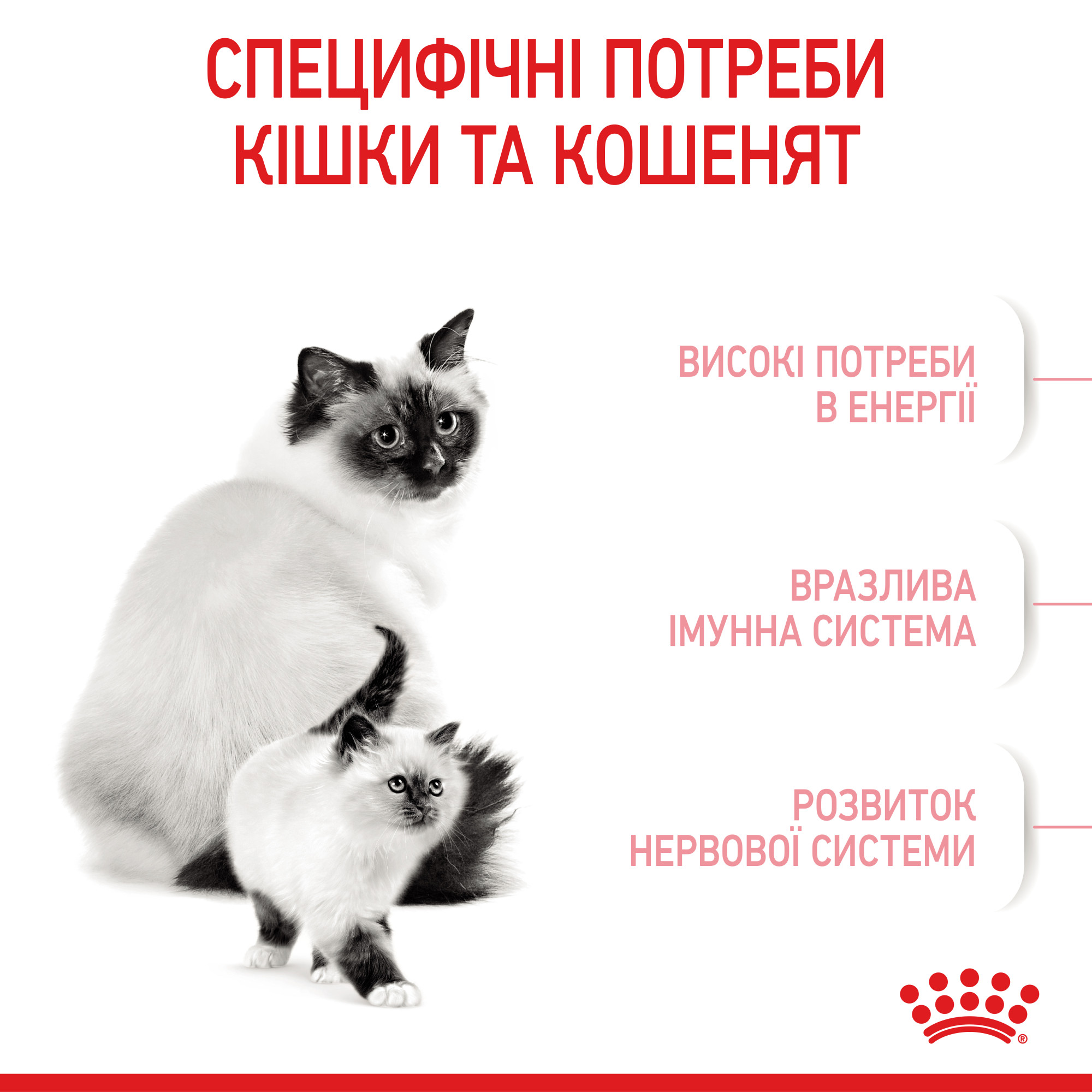 Royal Canin Babycat – сухий корм для кошенят віком від 1 до 4 місяців та для лактуючих кішок, 2 кг