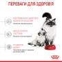 Royal Canin Babycat – сухий корм для кошенят віком від 1 до 4 місяців та для лактуючих кішок, 2 кг