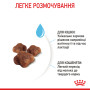 Royal Canin Babycat – сухий корм для кошенят віком від 1 до 4 місяців та для лактуючих кішок, 2 кг
