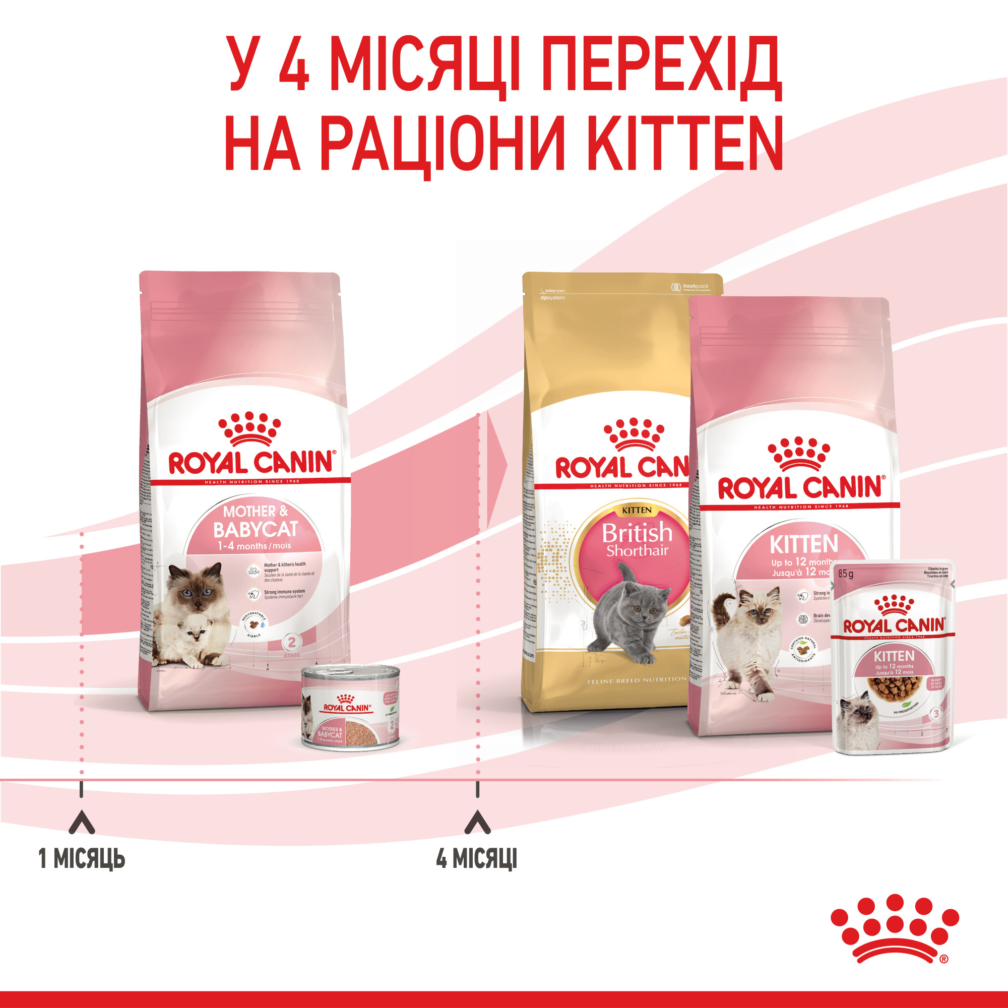 Royal Canin Babycat – сухий корм для кошенят віком від 1 до 4 місяців та для лактуючих кішок, 2 кг
