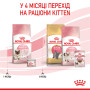 Royal Canin Babycat – сухий корм для кошенят віком від 1 до 4 місяців та для лактуючих кішок, 2 кг