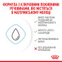Royal Canin BabyDog Milk, 2 кг