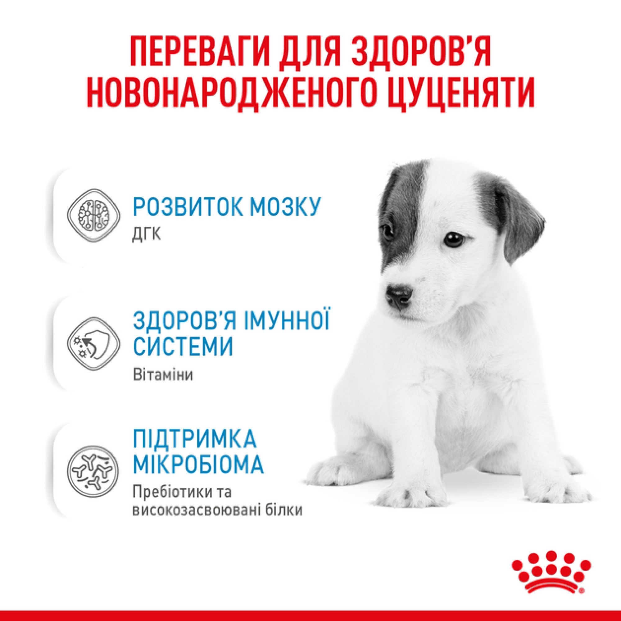Royal Canin BabyDog Milk, 2 кг