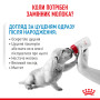 Royal Canin BabyDog Milk, 2 кг