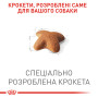Royal Canin Beagle Adult – сухой корм для взрослых собак породы бигль, 3 кг