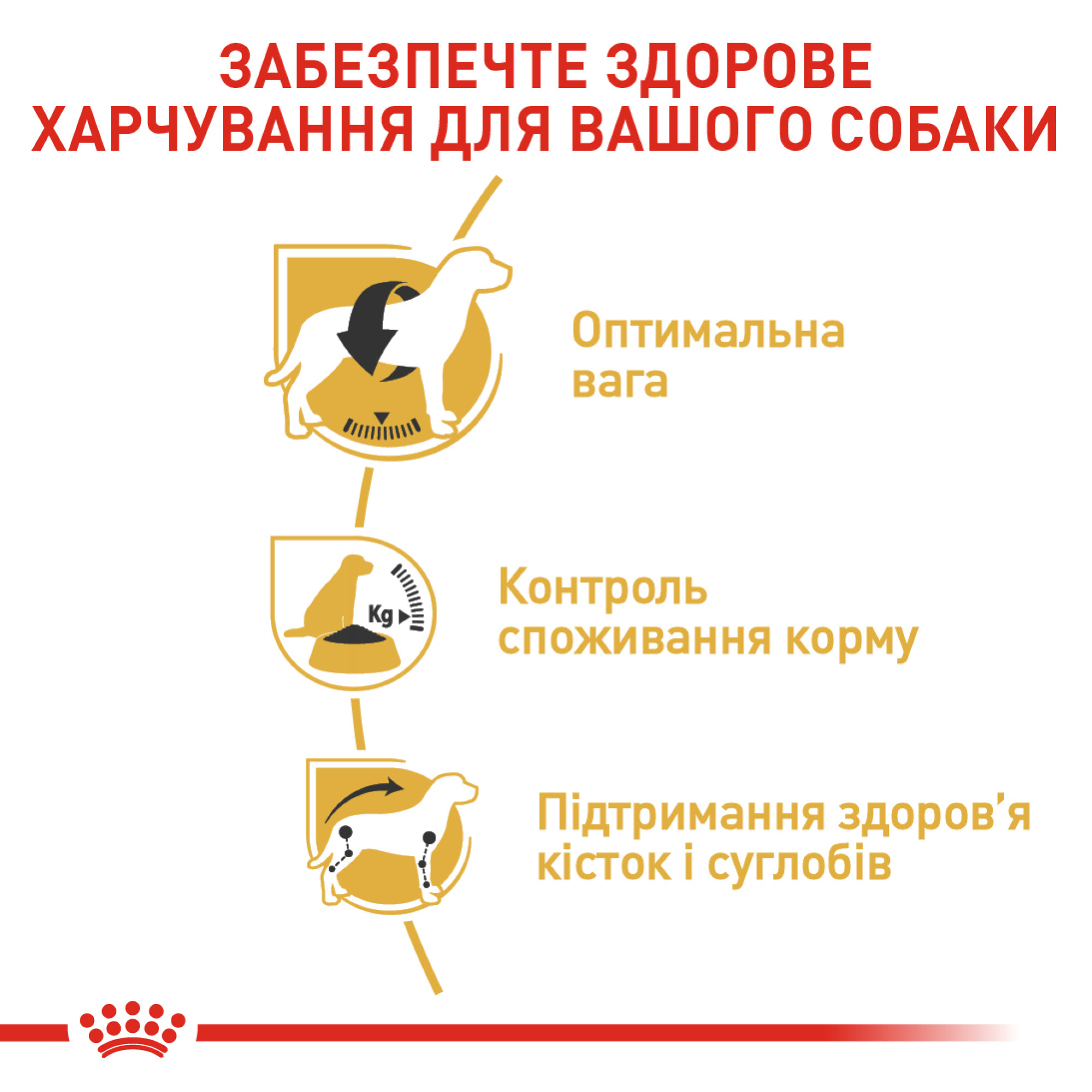 Royal Canin Beagle Adult – сухой корм для взрослых собак породы бигль, 3 кг