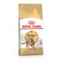 Royal Canin Bengal Adult – сухой корм для взрослых кошек породы бенгальская, 2 кг