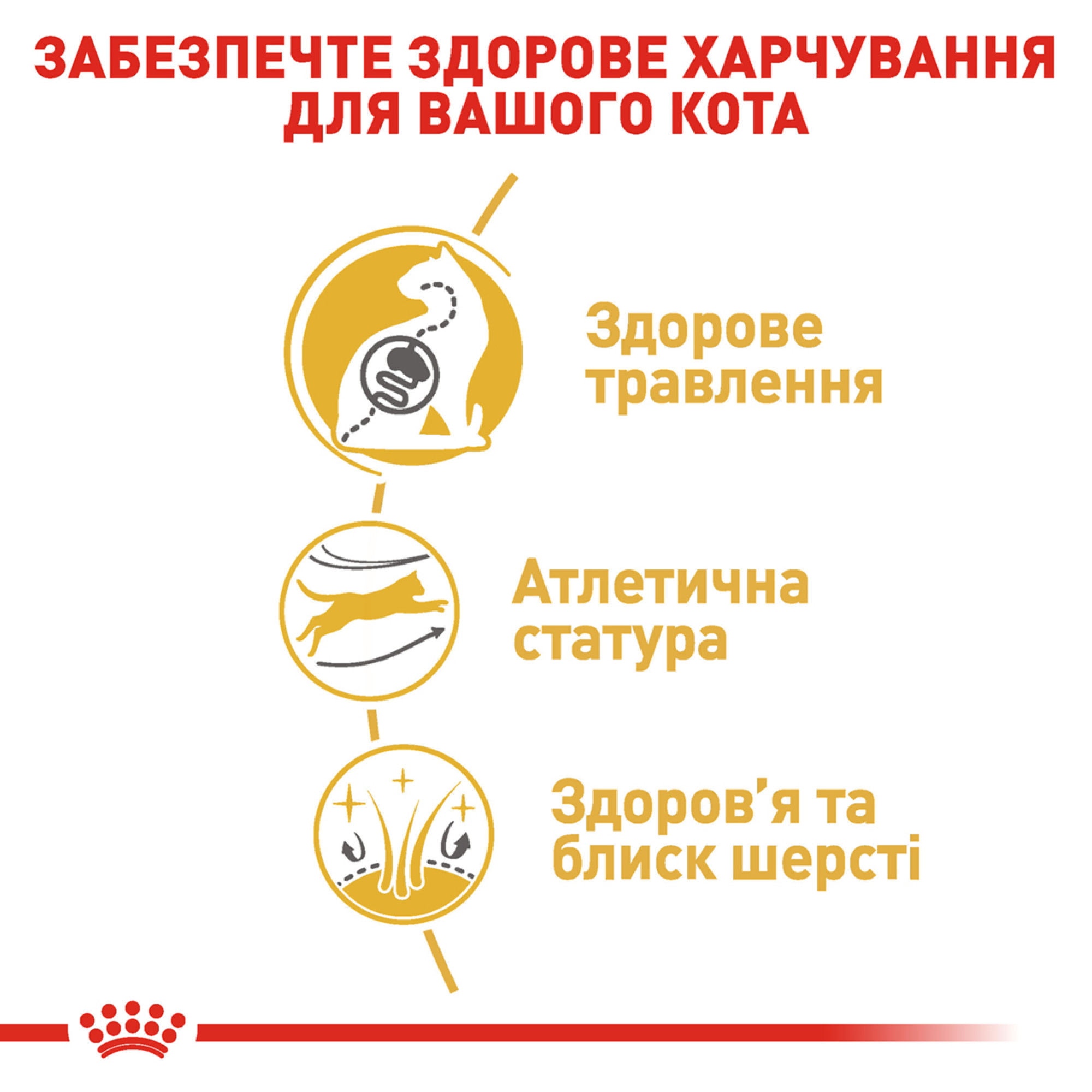 Royal Canin Bengal Adult – сухой корм для взрослых кошек породы бенгальская, 2 кг