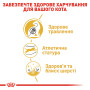 Royal Canin Bengal Adult – сухой корм для взрослых кошек породы бенгальская, 2 кг