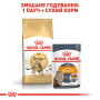 Royal Canin Bengal Adult – сухой корм для взрослых кошек породы бенгальская, 2 кг