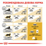 Royal Canin Bengal Adult – сухой корм для взрослых кошек породы бенгальская, 2 кг