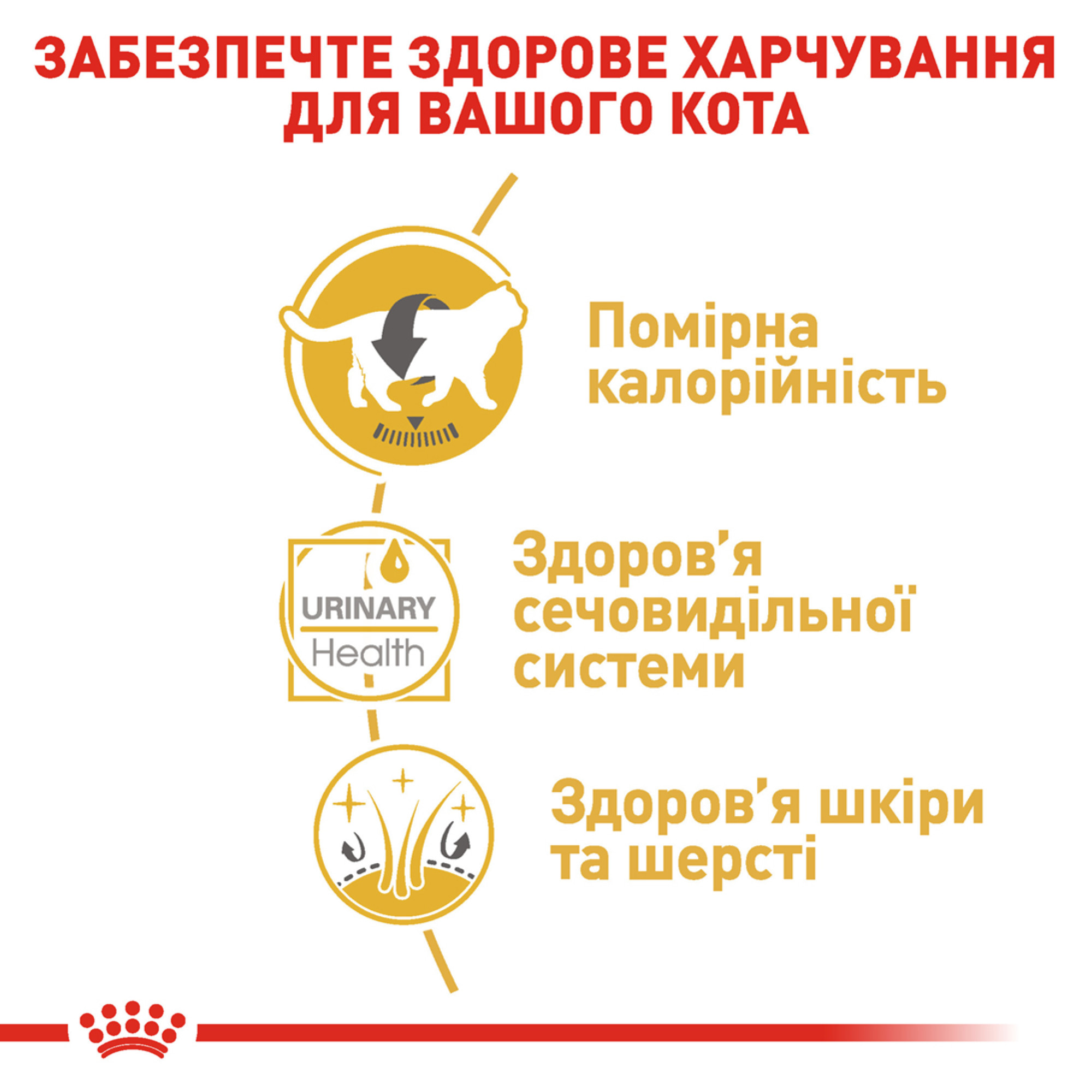 Royal Canin British Shorthair Adult Gravy – влажный корм в соусе для взрослых кошек британской короткошёрстной породы, 85 г