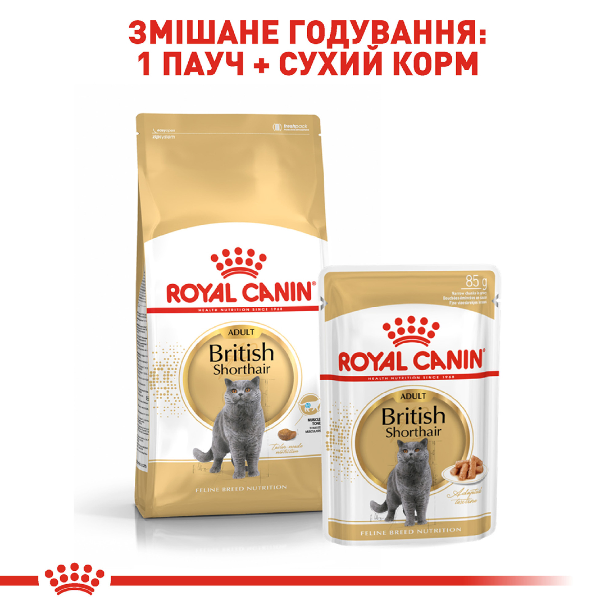 Royal Canin British Shorthair Adult Gravy – влажный корм в соусе для взрослых кошек британской короткошёрстной породы, 85 г
