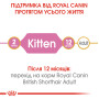 Royal Canin British Shorthair Kitten – сухий корм для кошенят породи британська короткошерста віком до 12 місяців, 10 кг