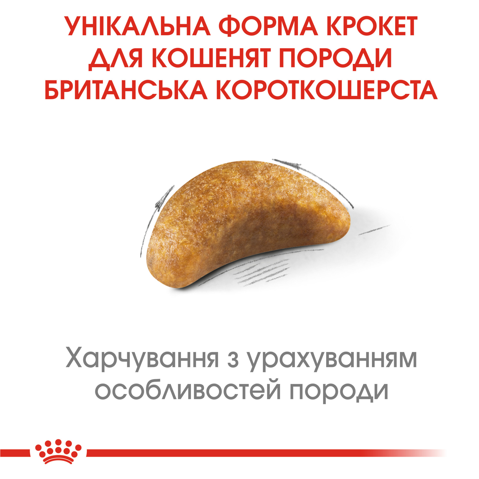 Royal Canin British Shorthair Kitten – сухий корм для кошенят породи британська короткошерста віком до 12 місяців, 10 кг