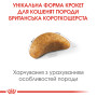Royal Canin British Shorthair Kitten – сухий корм для кошенят породи британська короткошерста віком до 12 місяців, 10 кг