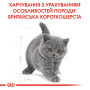 Royal Canin British Shorthair Kitten – сухий корм для кошенят породи британська короткошерста віком до 12 місяців, 10 кг