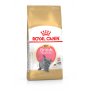Royal Canin British Shorthair Kitten – сухий корм для кошенят породи британська короткошерста віком до 12 місяців, 10 кг